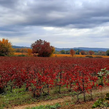 O De Provence